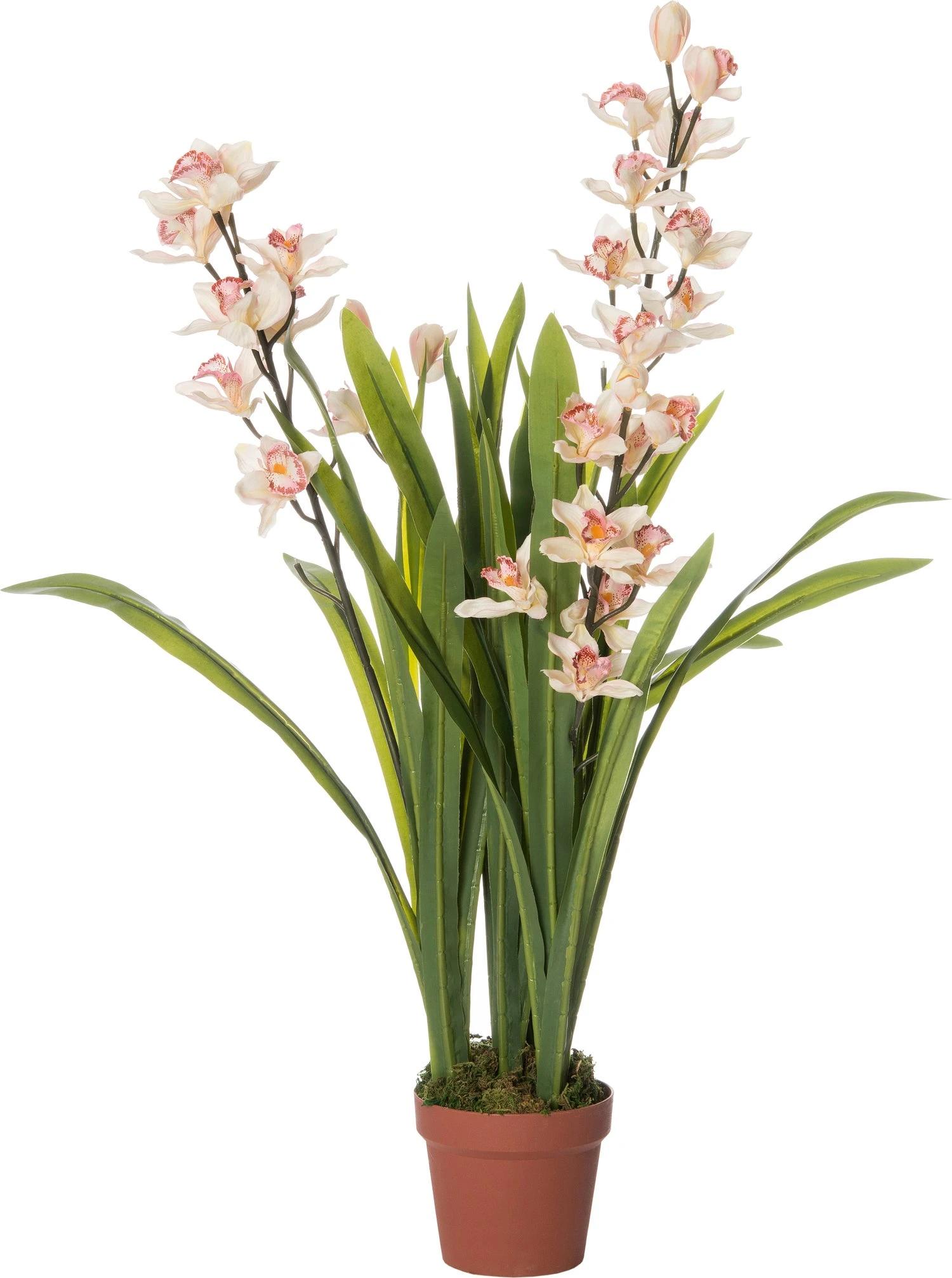 Intratuin Kunstplant Cymbidium 110 Cm Roze 1 Intratuin Kunstplant Cymbidium 110 Cm Roze