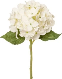 Intratuin Kunstbloem Hortensia Wit 36 Cm 1 Intratuin Kunstbloem Hortensia Wit 36 Cm