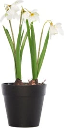 Intratuin Kunstplant Sneeuwklokje Wit H 28 Cm 1 Intratuin Kunstplant Sneeuwklokje Wit H 28 Cm