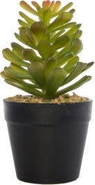 Intratuin Kunstplant Vetplant D 9 H 16 Cm 1 Intratuin Kunstplant Vetplant D 9 H 16 Cm