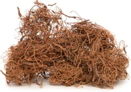 Intratuin Decoratie Krullend Mos Naturel 200 G 8 X 0,2 X 8 Cm