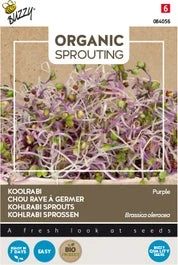 Buzzy Kiemgroentezaad Koolrabi (Brassica Oleracea Acephala Var Gongylodes)