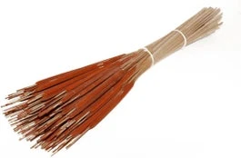 Droogbloemen Rietsigaren (Typha) Oranje H 55 Cm