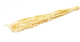 Droogbloemen Wilde Haver (Avena) Naturel H 55 Cm 1 Droogbloemen Wilde Haver (Avena) Naturel H 55 Cm