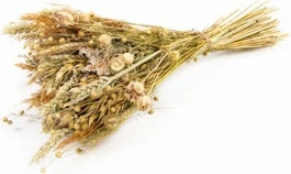 Droogbloemen Veldboeket Bruin H 60 Cm