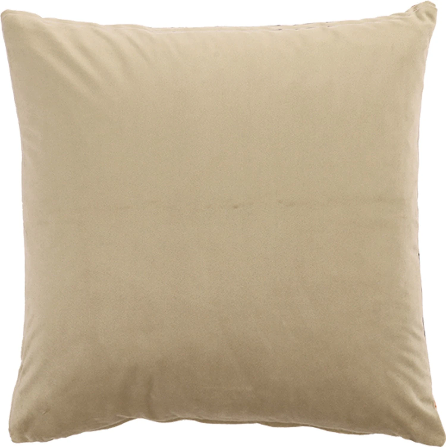 Intratuin Kate Sierkussen Bladeren Beige 45 X 45 Cm 2 Intratuin Kate Sierkussen Bladeren Beige 45 X 45 Cm - Afbeelding 2