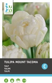 Intratuin Bloembollen Tulp (Tulipa 'Mount Tacoma') 10 Stuks 1 Intratuin Bloembollen Tulp (Tulipa 'Mount Tacoma') 10 Stuks