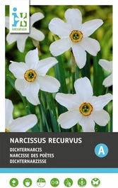 Intratuin Bloembollen Narcis (Narcissus 'Recurvus') 5 Stuks 1 Intratuin Bloembollen Narcis (Narcissus 'Recurvus') 5 Stuks
