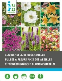 Intratuin Bloembollen Bijen Vriendelijk 36 Stuks 1 Intratuin Bloembollen Bijen Vriendelijk 36 Stuks