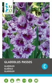Intratuin Bloembollen Gladiool (Gladiolen 'Passos') 10 Stuks