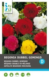 Intratuin Begonia Knol (Begonia Grandiflora) Gemengd 3 Stuks