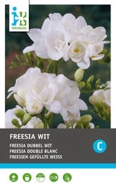 Intratuin Bloembollen Freesia Dubbel (Freesia) 25 Stuks 1 Intratuin Bloembollen Freesia Dubbel (Freesia) 25 Stuks