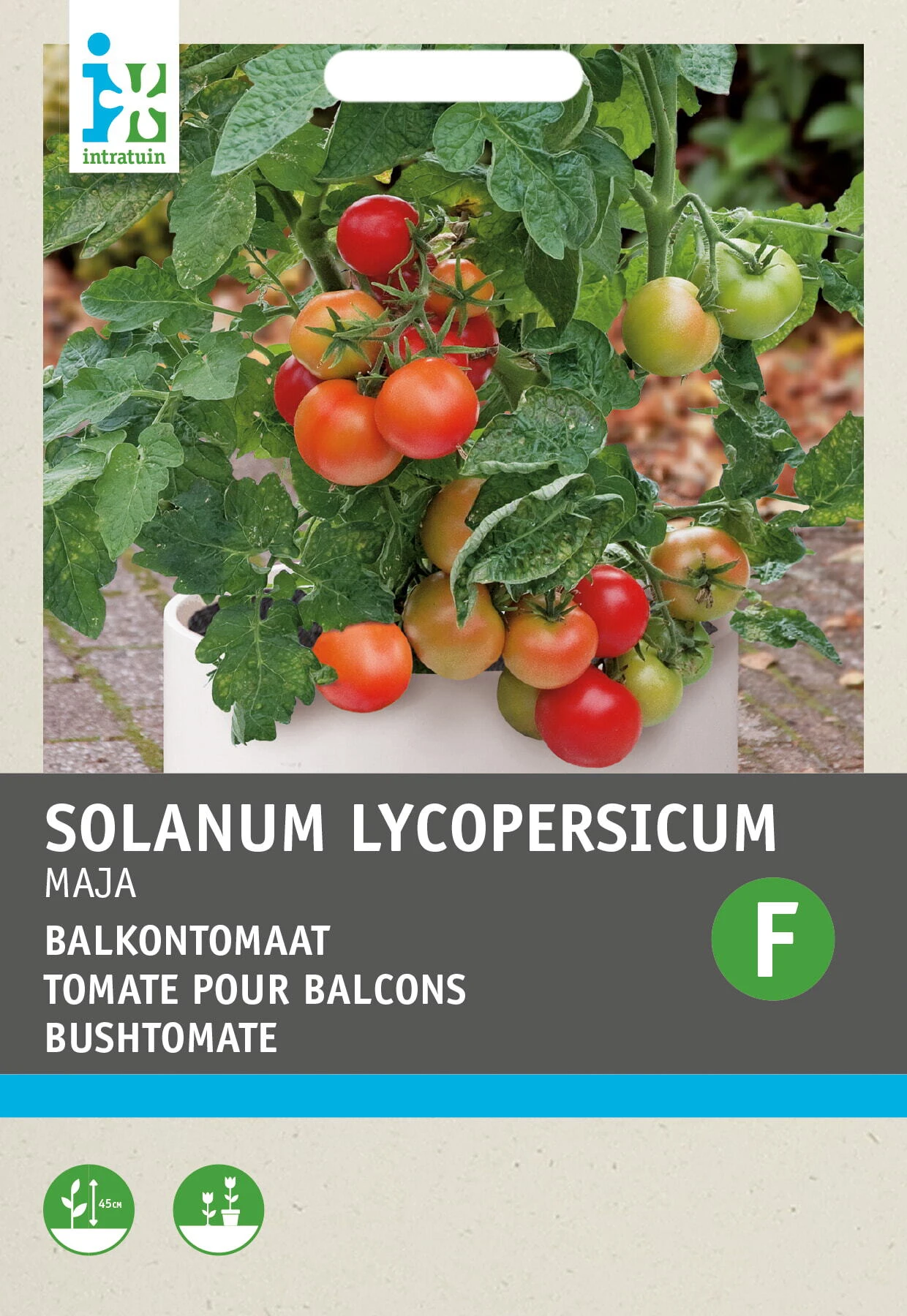 Intratuin Groentezaad Tomaten (Solanum Lycopersicum 'Maja Origineel') 1 Intratuin Groentezaad Tomaten (Solanum Lycopersicum 'Maja Origineel')