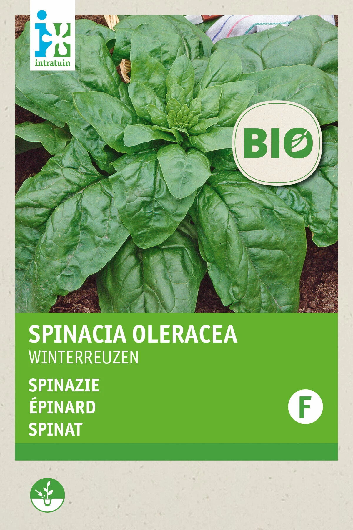 Biologische Intratuin Groentezaad Spinazie (Spinacia Oleracea 'Securo') 1 Biologische Intratuin Groentezaad Spinazie (Spinacia Oleracea 'Securo')