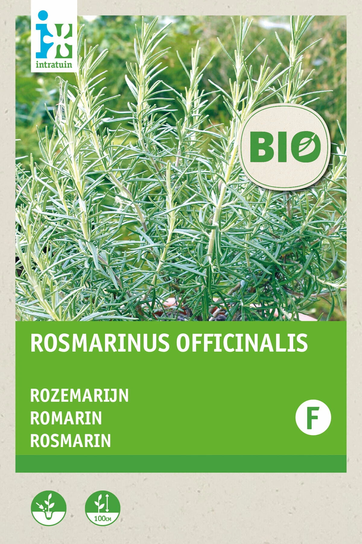 Biologische Intratuin Kruidenzaad Rozemarijn (Rosmarinus Officinalis) 1 Biologische Intratuin Kruidenzaad Rozemarijn (Rosmarinus Officinalis)