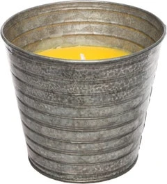 Intratuin Citronella Kaars Geel D 13,5 H 12 Cm