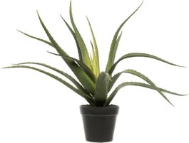 Intratuin Kunstplant Aloë Vera D 15 H 46 Cm 1 Intratuin Kunstplant Aloë Vera D 15 H 46 Cm
