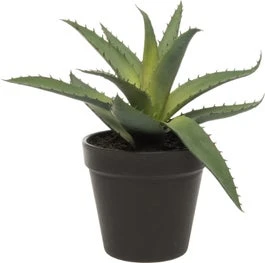 Intratuin Kunstplant Aloë Vera D 20 H 20 Cm 1 Intratuin Kunstplant Aloë Vera D 20 H 20 Cm