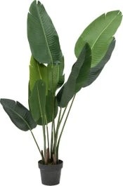 Intratuin Kunstplant Strelitzia H 155 Cm 1 Intratuin Kunstplant Strelitzia H 155 Cm