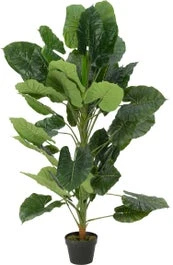 Intratuin Kunstplant Philodendron H 140 Cm 1 Intratuin Kunstplant Philodendron H 140 Cm