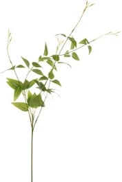 Intratuin Kunsttak Clematisblad H 90 Cm 1 Intratuin Kunsttak Clematisblad H 90 Cm