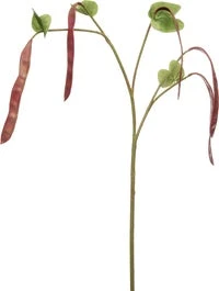 Intratuin Kunsttak Met Peulen Rood H 113 Cm 1 Intratuin Kunsttak Met Peulen Rood H 113 Cm