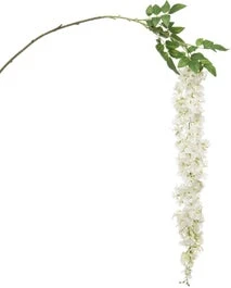 Intratuin Kunsttak Wisteria Wit H 162 Cm 1 Intratuin Kunsttak Wisteria Wit H 162 Cm