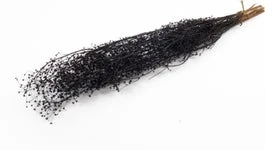 Droogbloemen Misty Massasa Zwart H 60 Cm