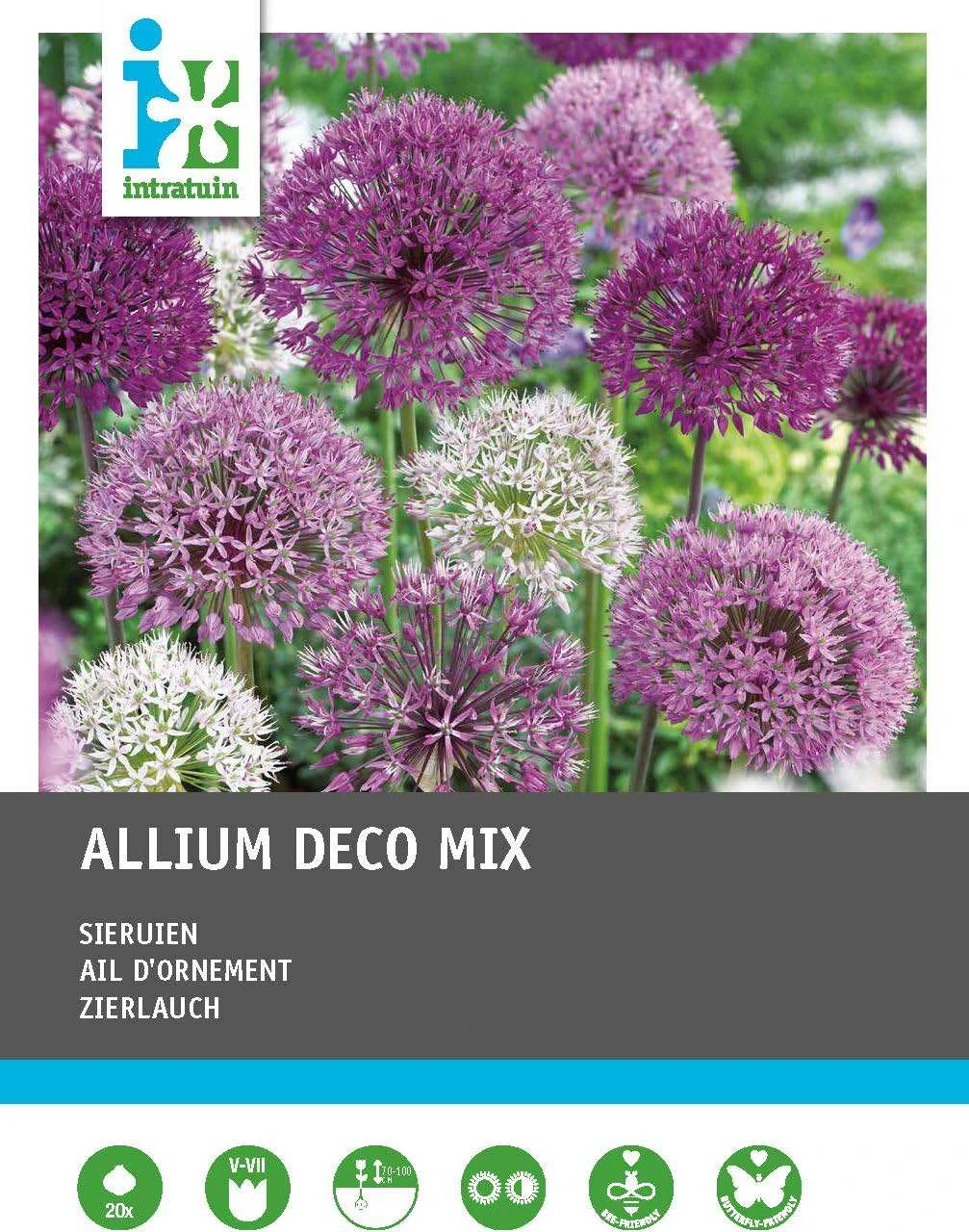 Intratuin Bloembollen Sierui (Alium) Gemengd 20 Stuks 1 Intratuin Bloembollen Sierui (Alium) Gemengd 20 Stuks
