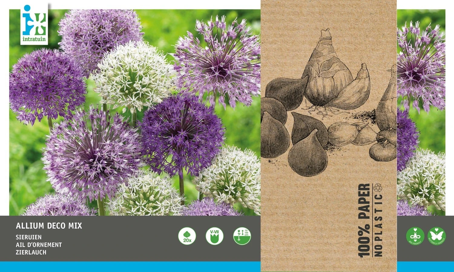 Intratuin Bloembollen Sierui (Alium) Gemengd 20 Stuks 3 Intratuin Bloembollen Sierui (Alium) Gemengd 20 Stuks - Afbeelding 3