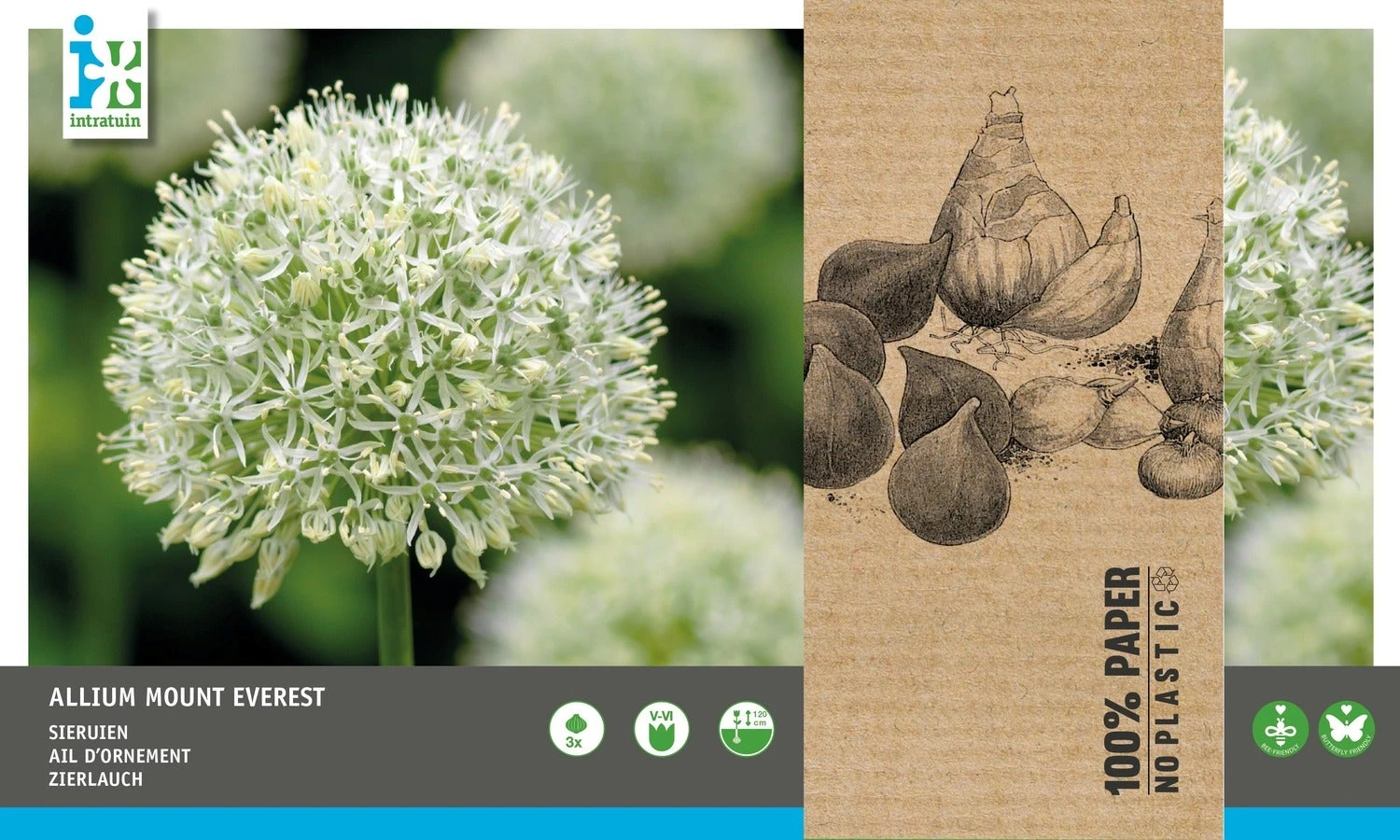 Intratuin Bloembollen Sierui (Allium 'Mount Everest') 3 Stuks 3 Intratuin Bloembollen Sierui (Allium 'Mount Everest') 3 Stuks - Afbeelding 3