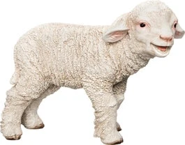 Intratuin Tuinbeeld Lam Wit 30 X 12 X 21 Cm 1 Intratuin Tuinbeeld Lam Wit 30 X 12 X 21 Cm