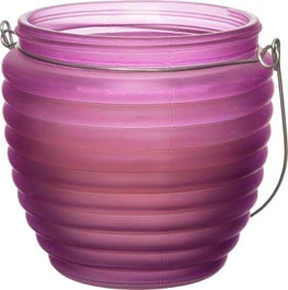 Intratuin Citronella Kaars Paars D 12 H 11,6 Cm