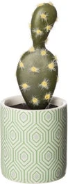 Intratuin Kunstplant Cactus Groen / Grijs D 6 H 14 Cm 1 Intratuin Kunstplant Cactus Groen / Grijs D 6 H 14 Cm