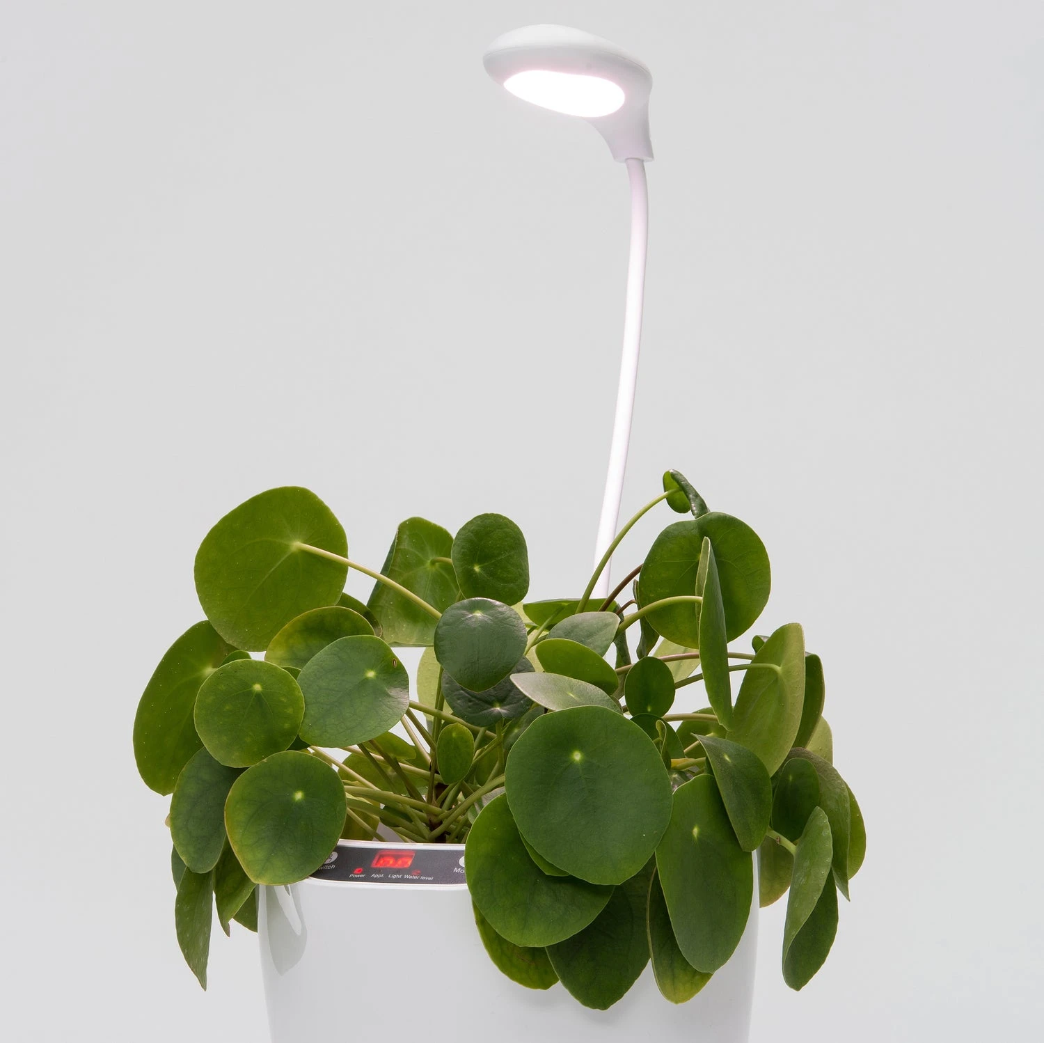 Intratuin Bloempot Met Waterreservoir En Groeilicht Wit D 25,2 H 56,5 Cm 2 Intratuin Bloempot Met Waterreservoir En Groeilicht Wit D 25,2 H 56,5 Cm - Afbeelding 2