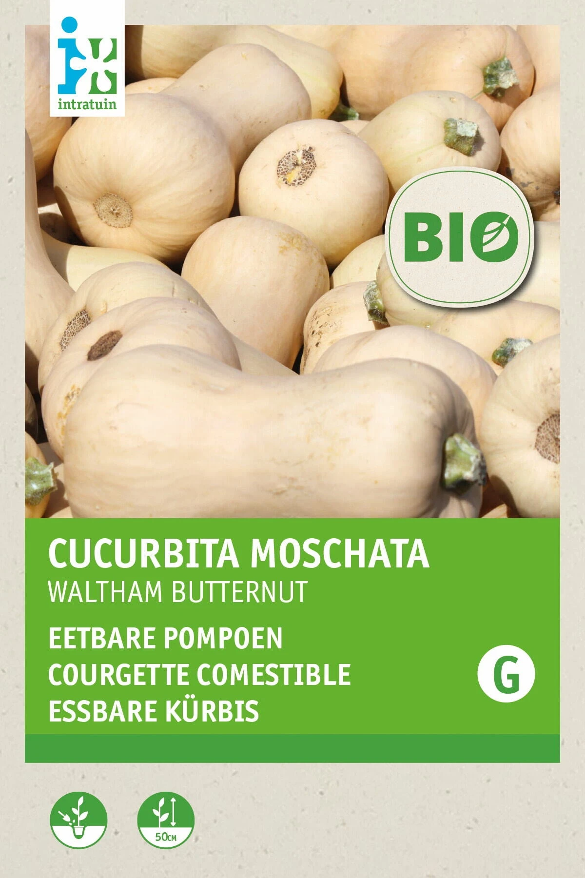 Biologische Intratuin Groentezaad Flespompoen (Cucurbita Maxima 'Waltham Butternut')) 1 Biologische Intratuin Groentezaad Flespompoen (Cucurbita Maxima 'Waltham Butternut'))