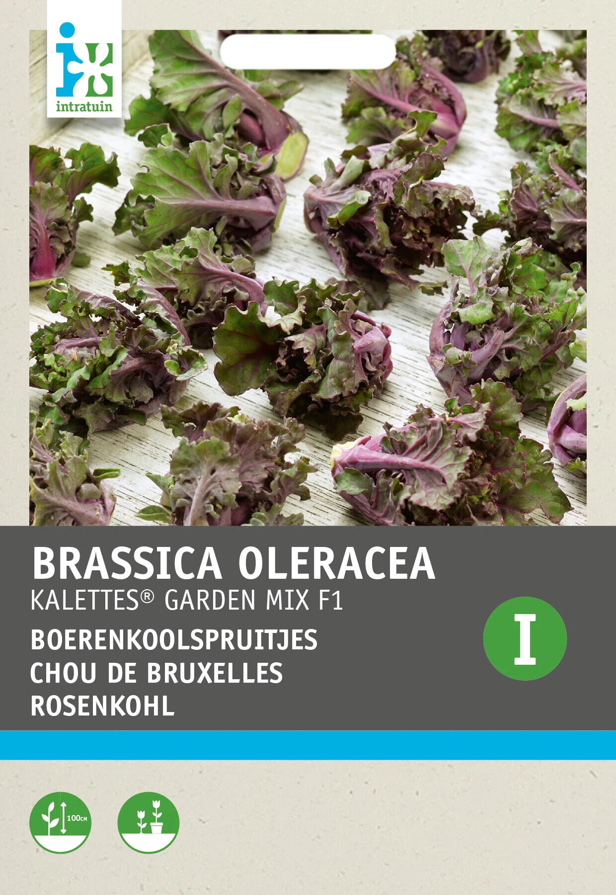 Intratuin Groentezaad Boerenkoolspruitjes Mix (Kalettes) 1 Intratuin Groentezaad Boerenkoolspruitjes Mix (Kalettes)