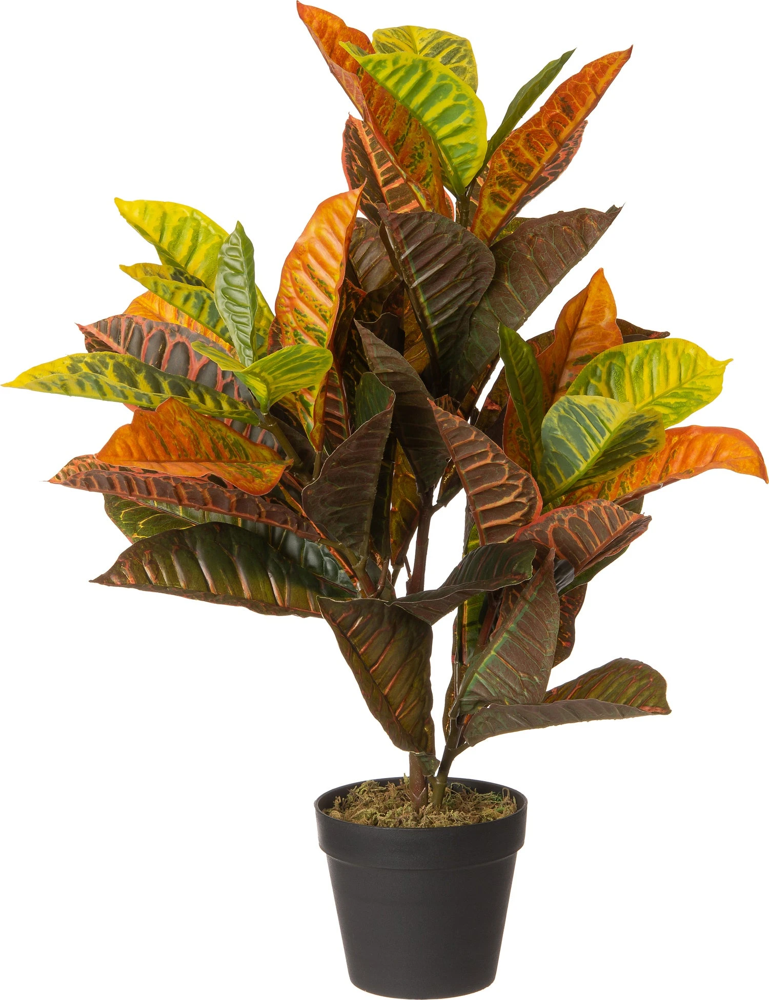 Intratuin Kunstplant Croton Multi 45 X 40 X 75 Cm 1 Intratuin Kunstplant Croton Multi 45 X 40 X 75 Cm