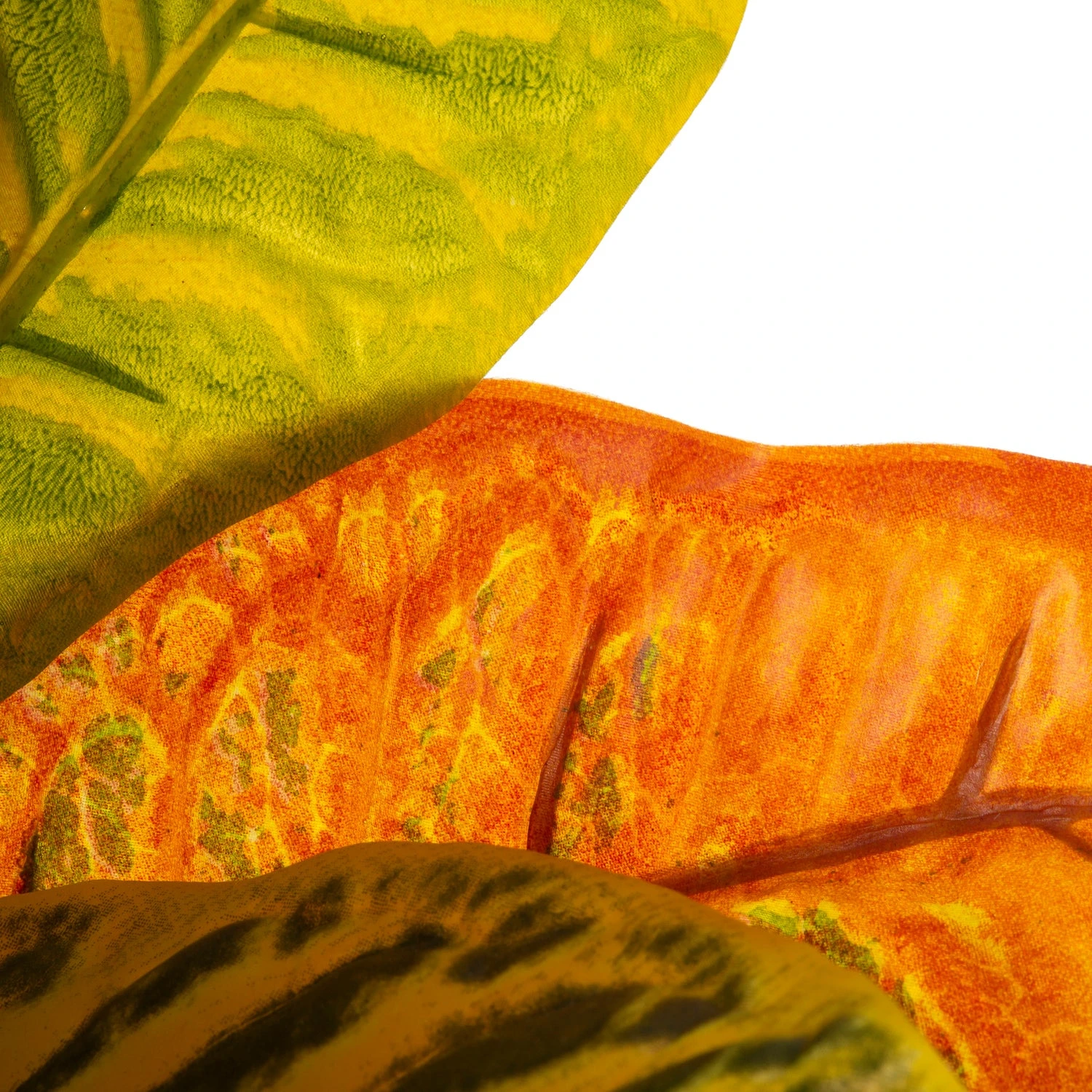 Intratuin Kunstplant Croton Multi 45 X 40 X 75 Cm 2 Intratuin Kunstplant Croton Multi 45 X 40 X 75 Cm - Afbeelding 2