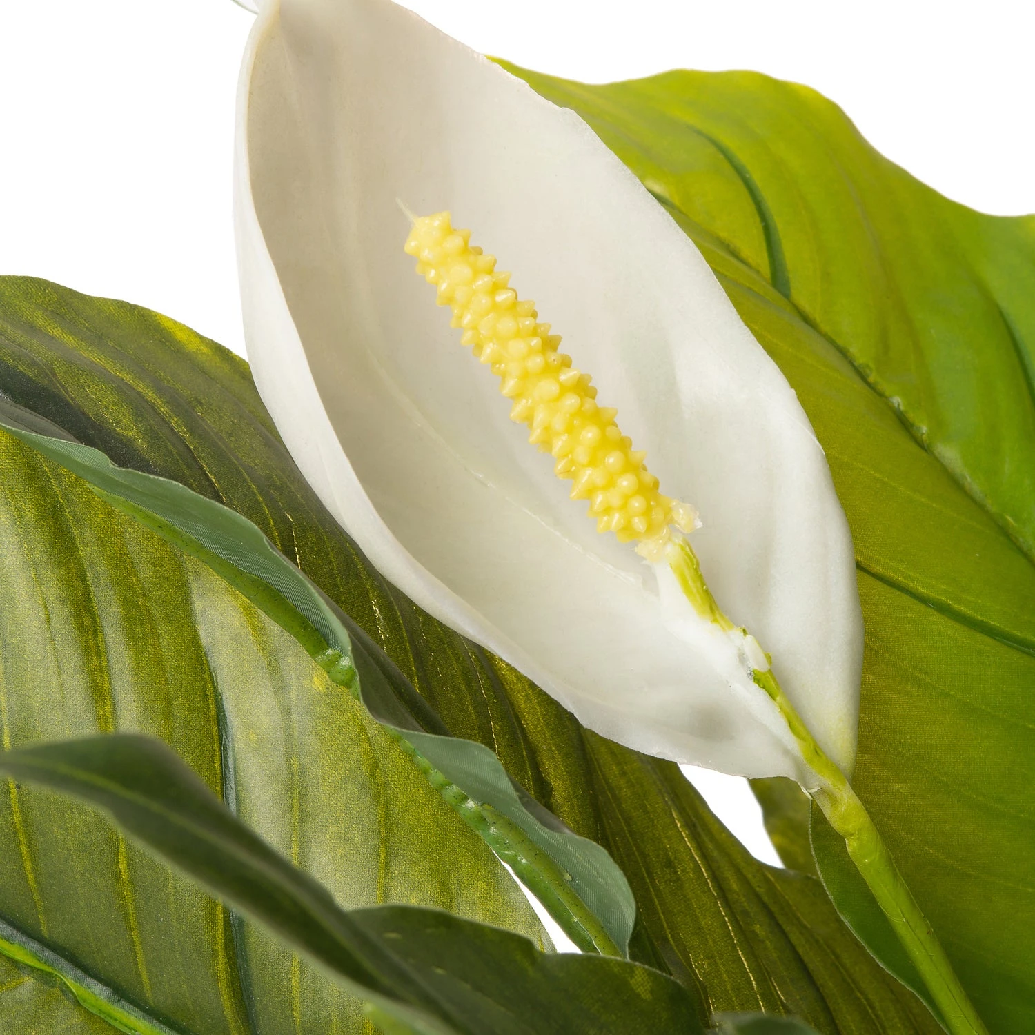 Intratuin Kunstplant Spathiphyllum Crème 30 X 30 X 60 Cm 2 Intratuin Kunstplant Spathiphyllum Crème 30 X 30 X 60 Cm - Afbeelding 2