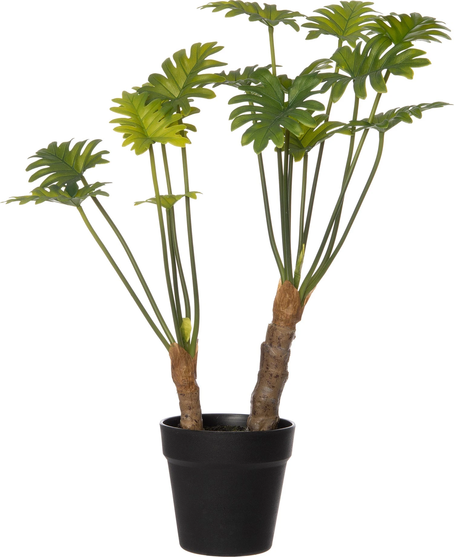 Intratuin Kunstplant Philodendron 'Xanadu' Op Stam D 40 H 56 Cm 1 Intratuin Kunstplant Philodendron 'Xanadu' Op Stam D 40 H 56 Cm