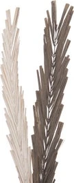 Intratuin Decoratie Tak Grijs H 95 Cm