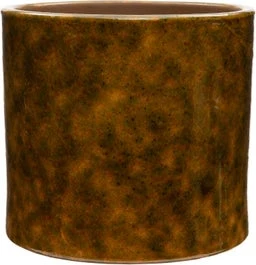 Intratuin Bloempot Aika Groen D 16 H 15 Cm