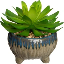 Intratuin Kunstplant Echeveria Grijs D 12 H 12 Cm 1 Intratuin Kunstplant Echeveria Grijs D 12 H 12 Cm