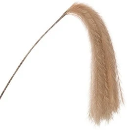 Intratuin Kunsttak Pluim Bruin 134 Cm 1 Intratuin Kunsttak Pluim Bruin 134 Cm