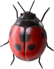 Intratuin Tuinbeeld Lieveheersbeestje Rood / Zwart 16 X 14 X 6,5 Cm 1 Intratuin Tuinbeeld Lieveheersbeestje Rood / Zwart 16 X 14 X 6,5 Cm
