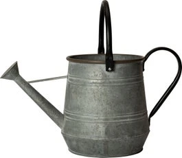 Intratuin Gieter Grijs 7,3 L