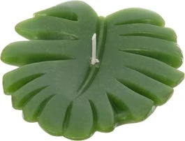 Intratuin Drijfkaars Monsterablad 11 X 9 X 3 Cm