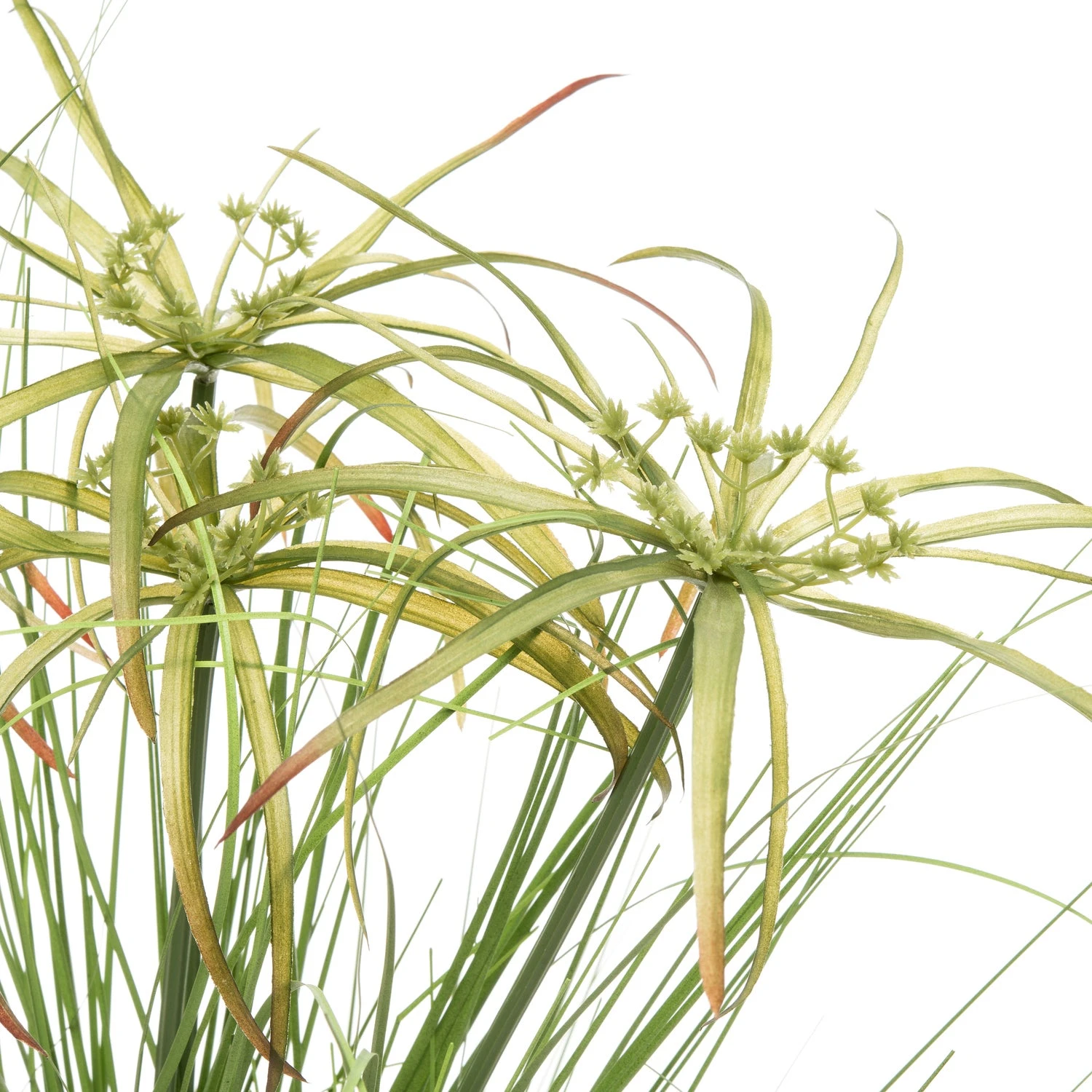 Intratuin Kunstplant Papyrus D 64 H 160 Cm 2 Intratuin Kunstplant Papyrus D 64 H 160 Cm - Afbeelding 2