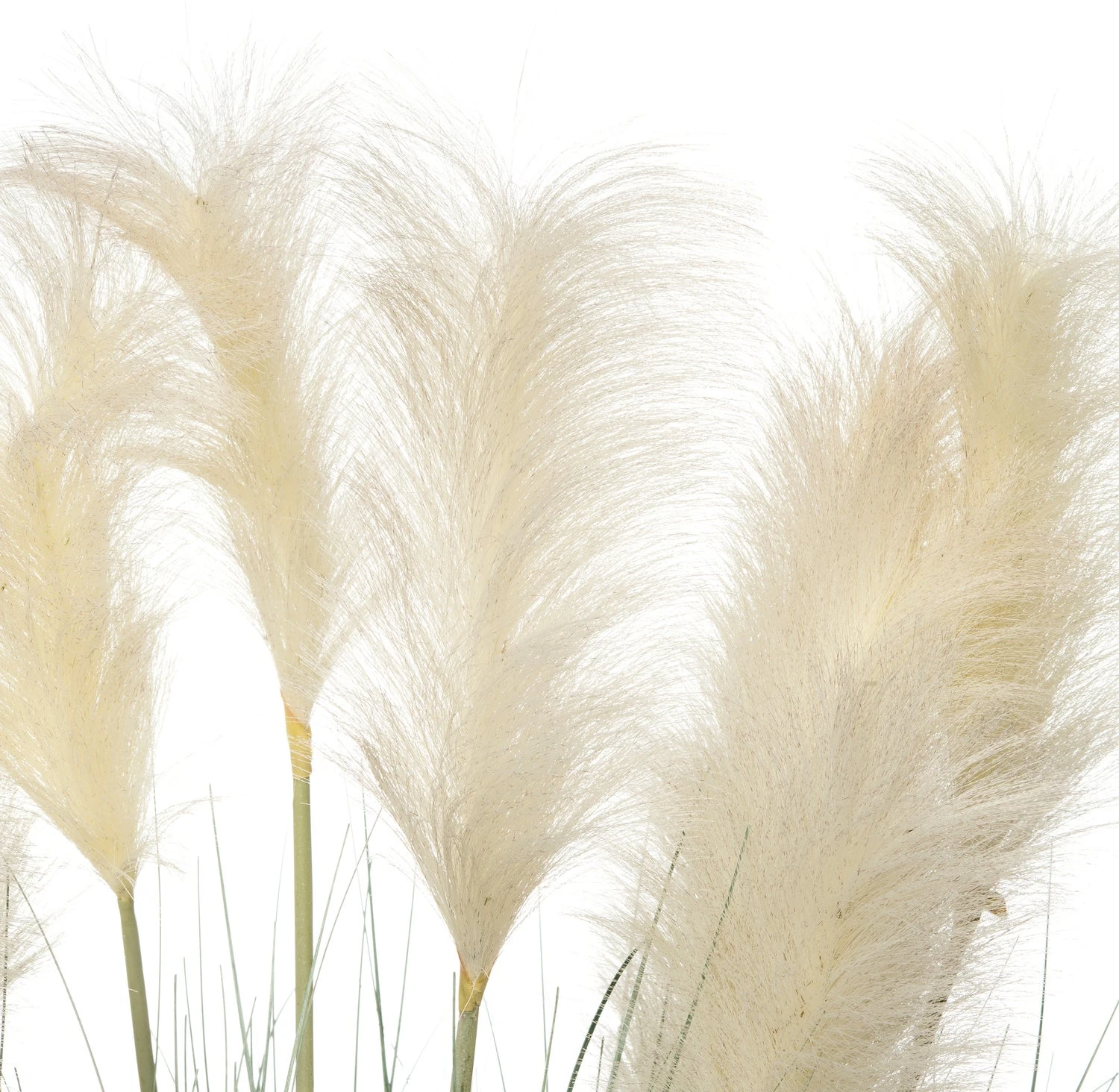 Intratuin Kunstplant Pampusgras D 62 H 110 Cm 2 Intratuin Kunstplant Pampusgras D 62 H 110 Cm - Afbeelding 2